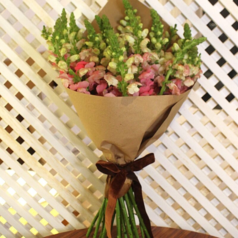 Bouquet de boca de leão Floricultura Florenza em Brasília