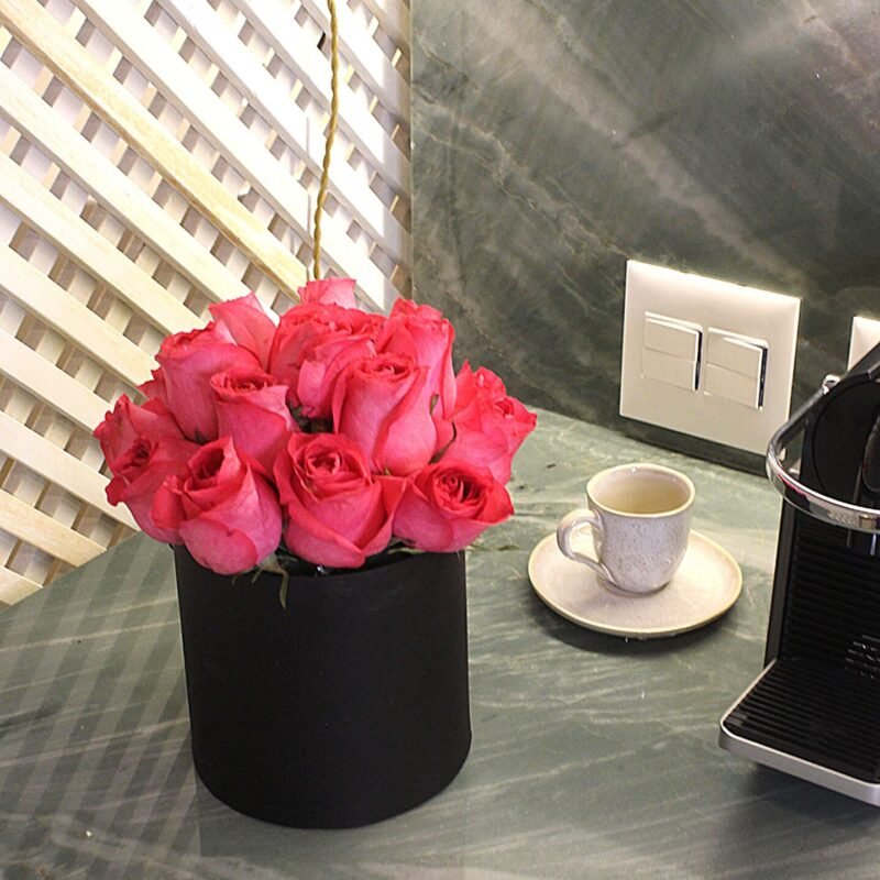 Rosas pink flores em Brasília