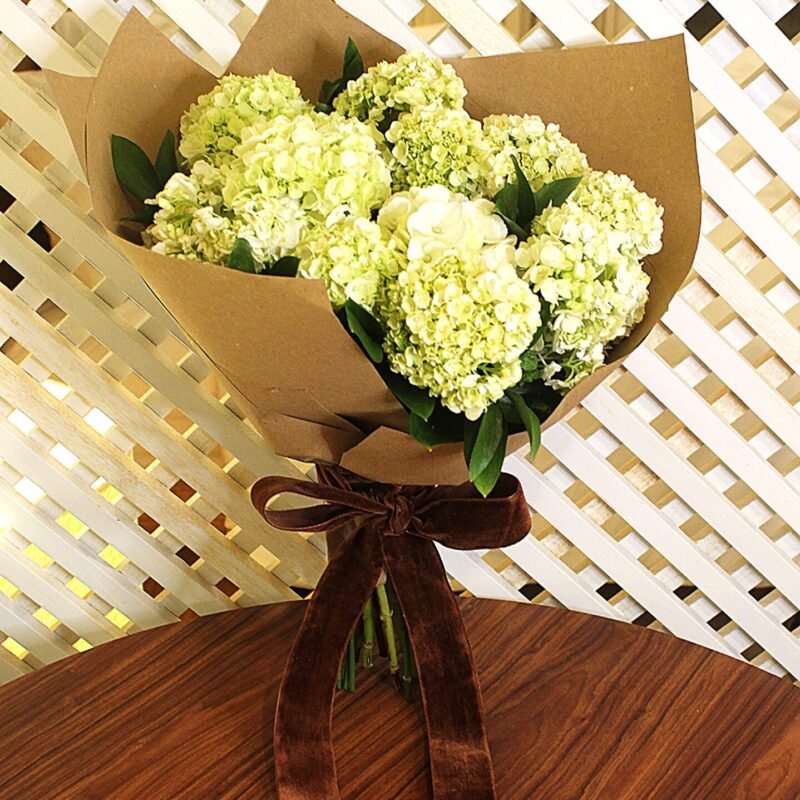 Bouquet de hortênsia flores em Brasília