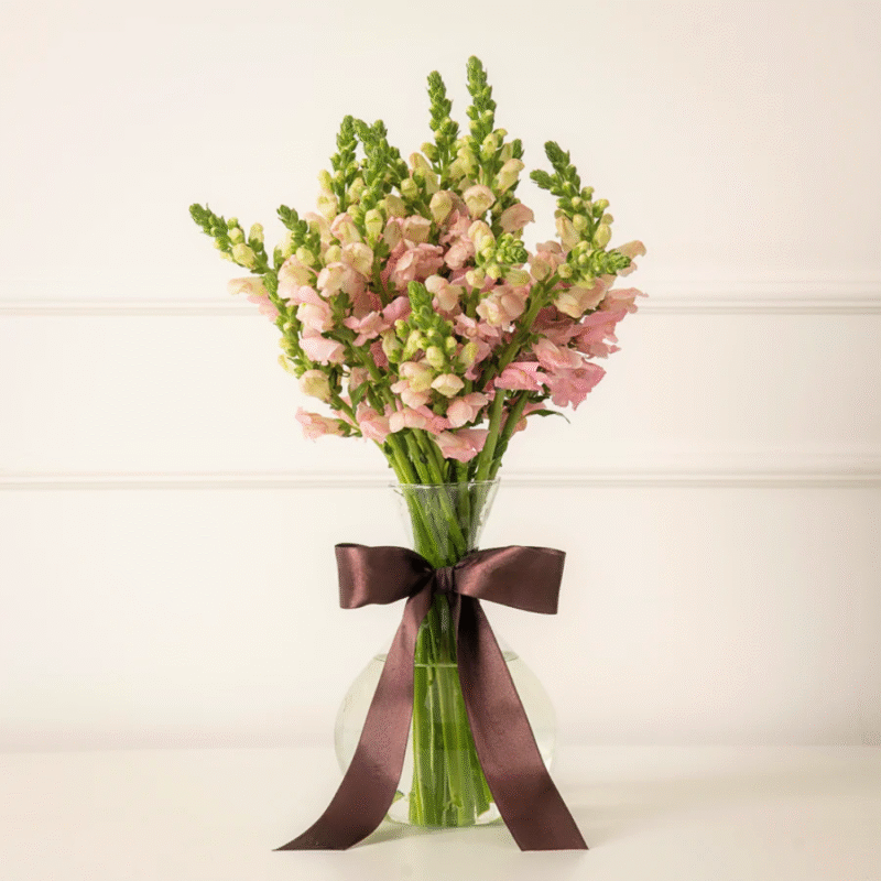 Vaso Ayla - com boca de leão rosa