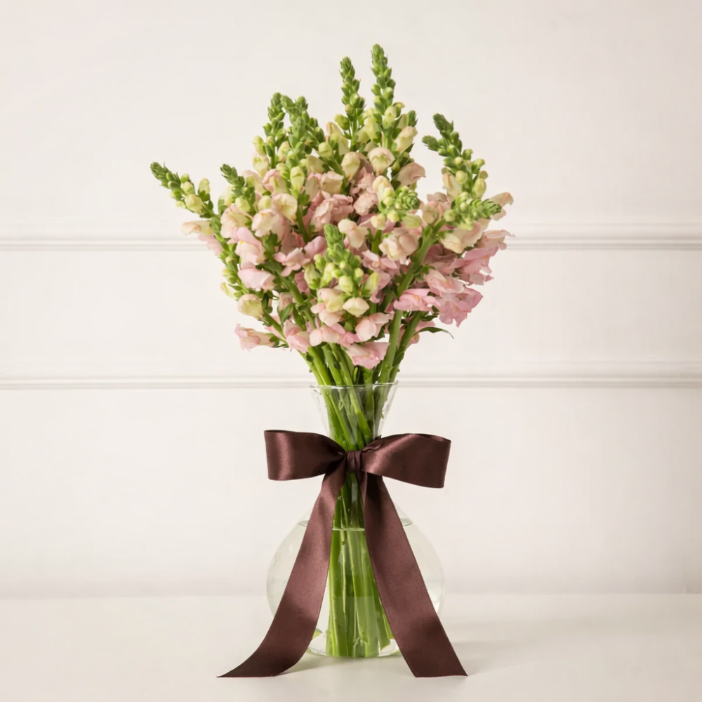 Vaso Ayla - com boca de leão rosa