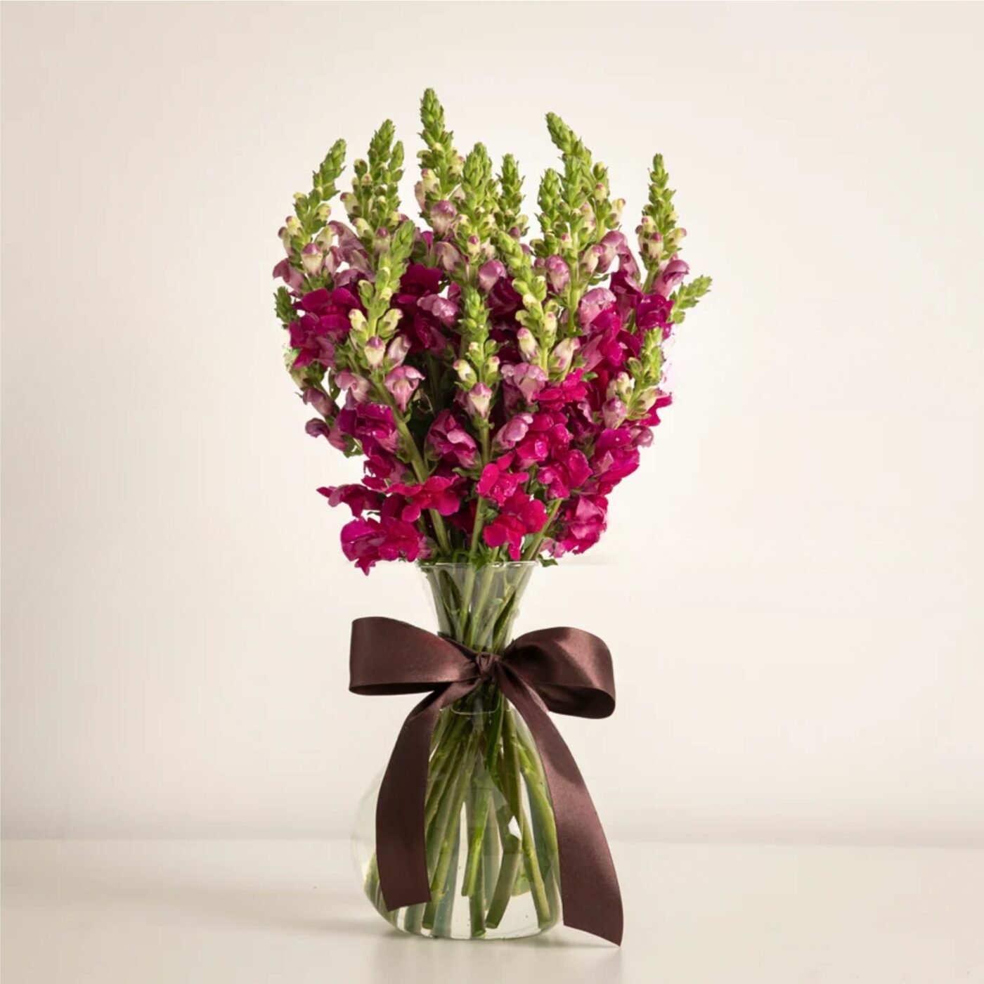 Vaso Ayla - com boca de leão vinho