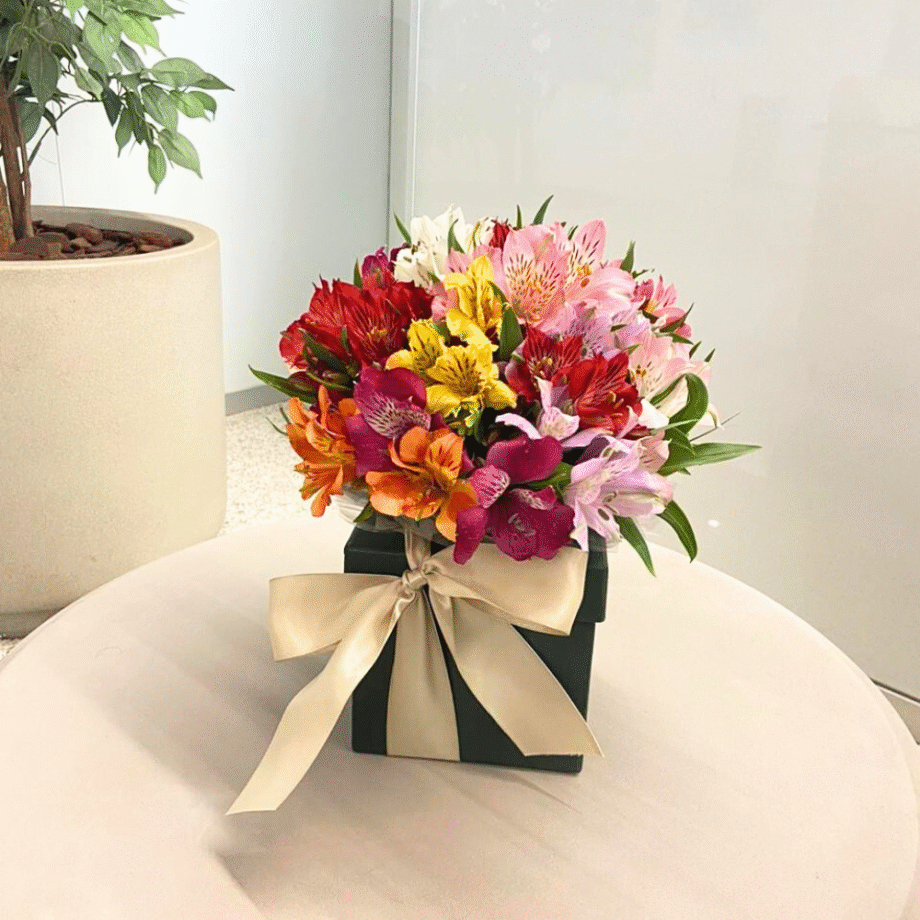 CAIXA COM ASTROMÉLIAS