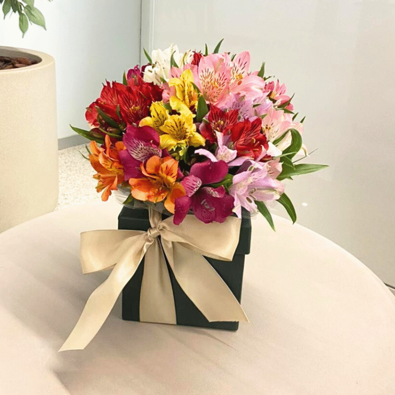 CAIXA COM ASTROMÉLIAS