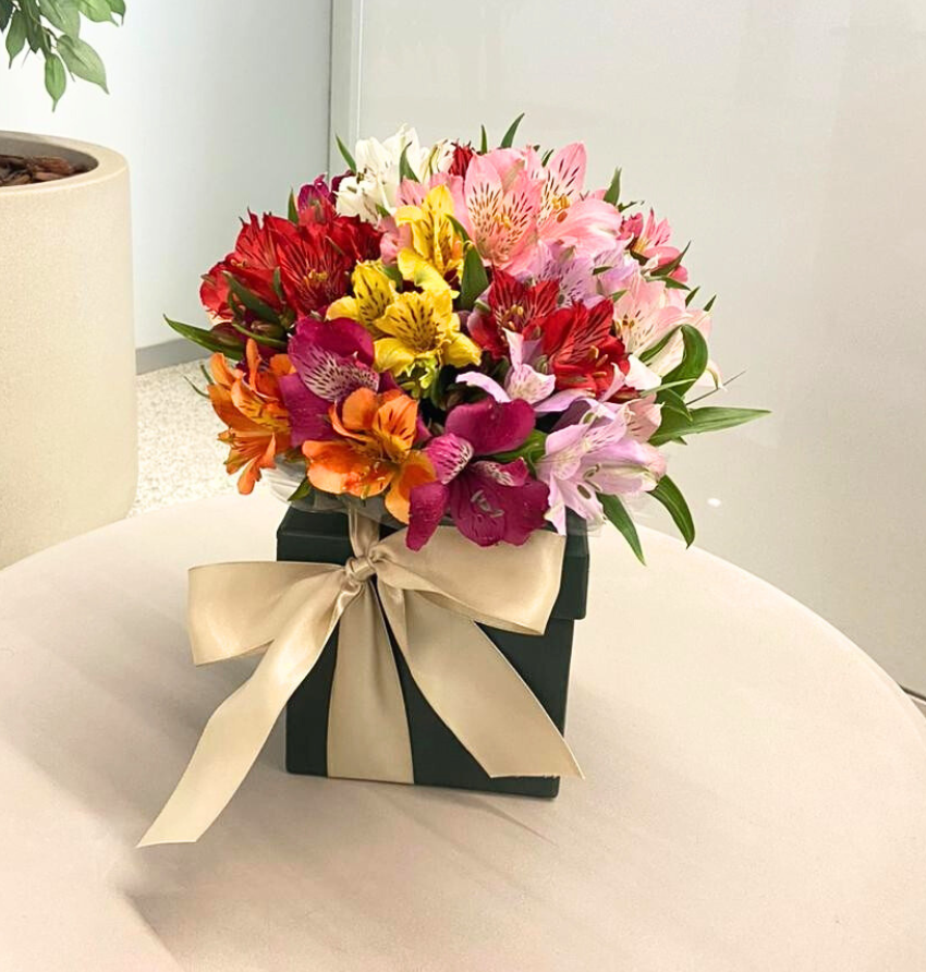 CAIXA COM ASTROMÉLIAS