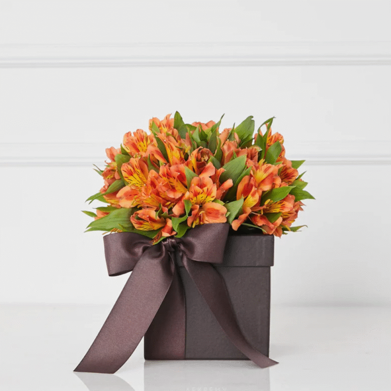 CAIXA COM ASTROMELIAS