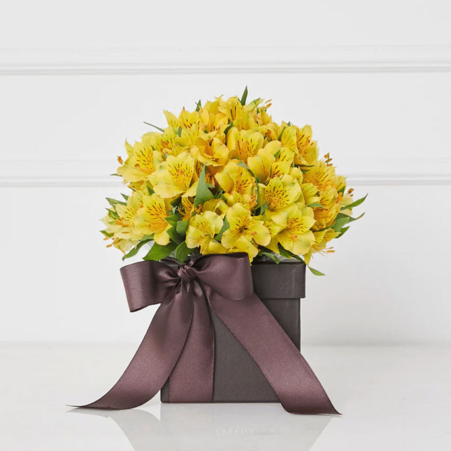 CAIXA LAURENT - COM ASTROMÉLIAS AMARELAS