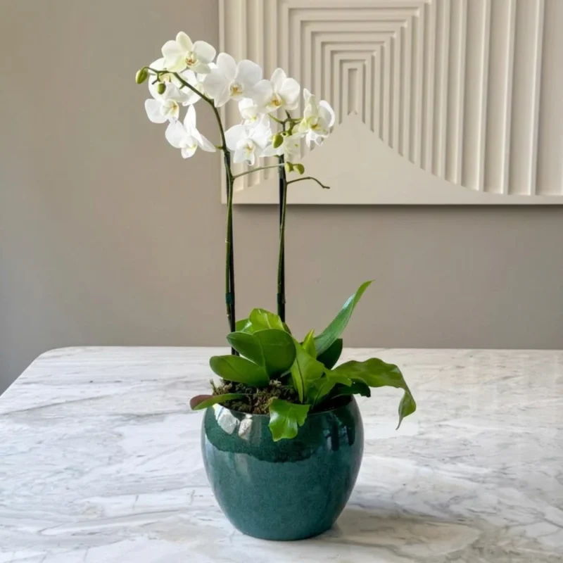 VASO LAUREN COM ORQUÍDEA BRANCA
